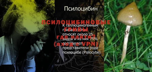 mdpv Верея